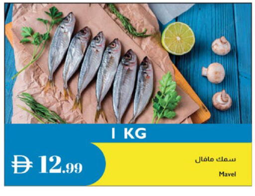 available at إسطنبول سوبرماركت in الإمارات العربية المتحدة , الامارات - الشارقة / عجمان