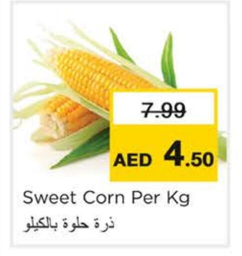 available at نستو هايبرماركت in الإمارات العربية المتحدة , الامارات - رَأْس ٱلْخَيْمَة
