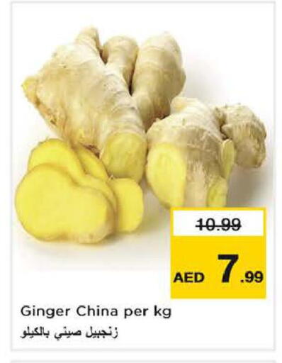 Ginger from China available at نستو هايبرماركت in الإمارات العربية المتحدة , الامارات - دبي