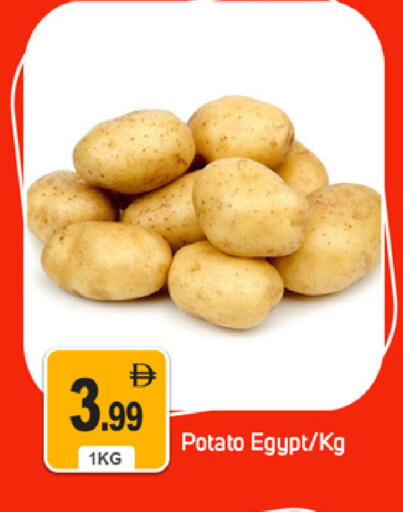 Potato from Egypt available at TALAL MARKET in UAE - Dubai