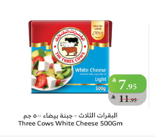 available at Al Raya in KSA, Saudi Arabia, Saudi - Al Qunfudhah