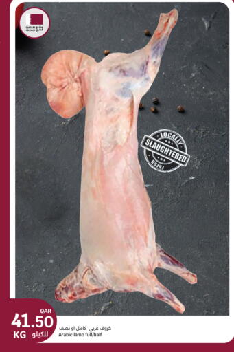 available at سيتي هايبرماركت in قطر - الضعاين