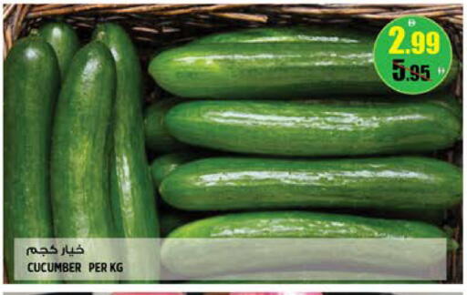 Cucumber available at هاشم هايبرماركت in الإمارات العربية المتحدة , الامارات - الشارقة / عجمان