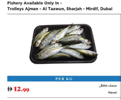 available at Trolleys Supermarket in UAE - Dubai