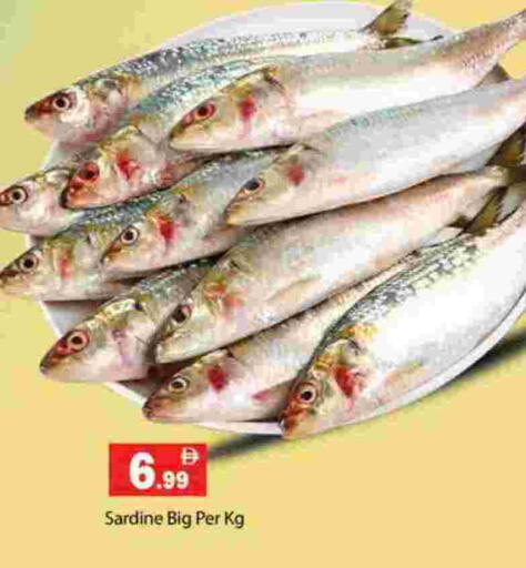 available at جلف هايبرماركت ذ.م.م in الإمارات العربية المتحدة , الامارات - رَأْس ٱلْخَيْمَة