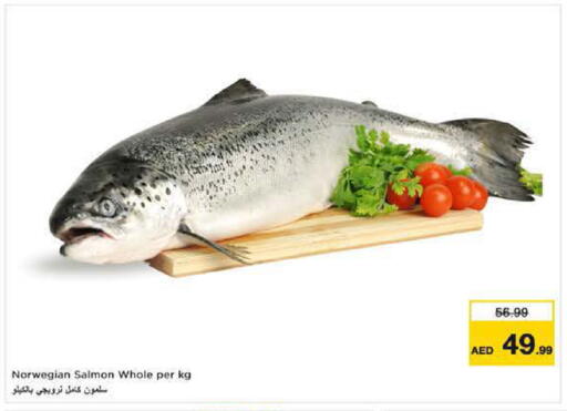 available at نستو هايبرماركت in الإمارات العربية المتحدة , الامارات - ٱلْفُجَيْرَة‎