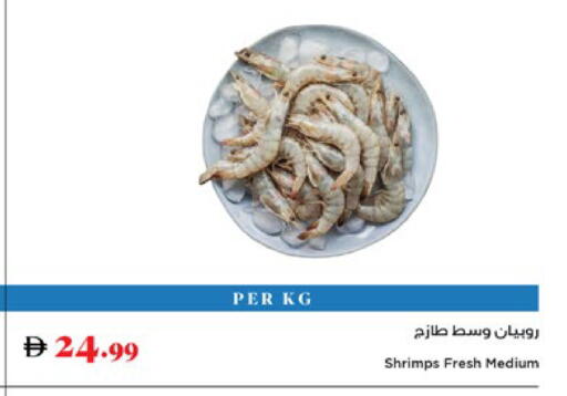 available at تروليز سوبرماركت in الإمارات العربية المتحدة , الامارات - الشارقة / عجمان