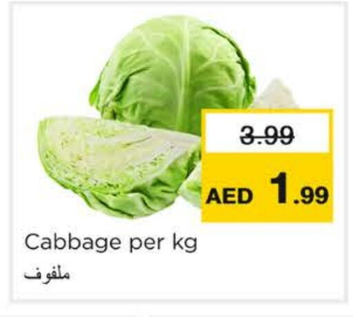 Cabbage available at نستو هايبرماركت in الإمارات العربية المتحدة , الامارات - رَأْس ٱلْخَيْمَة