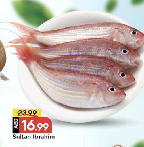 available at مارك & سيف in الإمارات العربية المتحدة , الامارات - الشارقة / عجمان