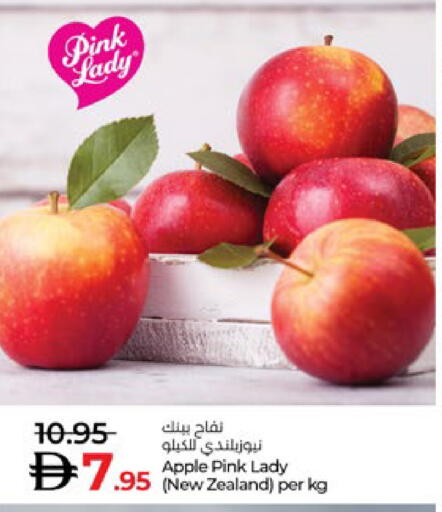 Apple available at لولو هايبرماركت in الإمارات العربية المتحدة , الامارات - أبو ظبي