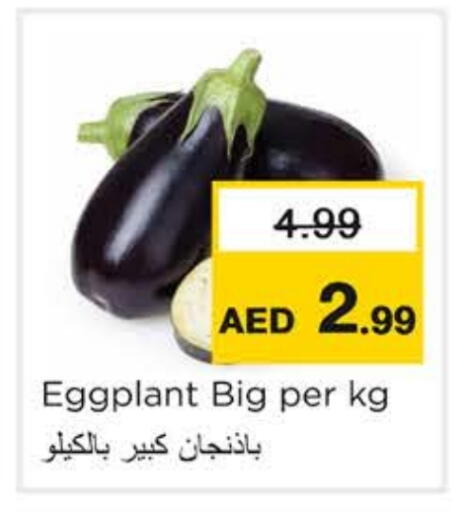 Eggplant available at نستو هايبرماركت in الإمارات العربية المتحدة , الامارات - رَأْس ٱلْخَيْمَة