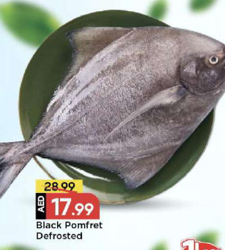 available at مارك & سيف in الإمارات العربية المتحدة , الامارات - الشارقة / عجمان