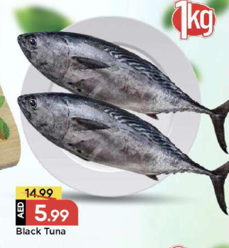 available at مارك & سيف in الإمارات العربية المتحدة , الامارات - دبي