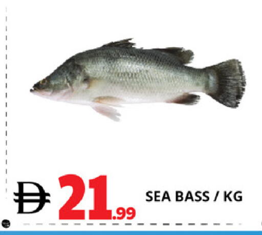 available at اكسبرس المدينة هايبرماركت in الإمارات العربية المتحدة , الامارات - أبو ظبي