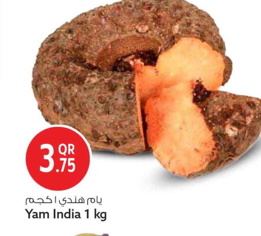 available at سفاري هايبر ماركت in قطر - الضعاين