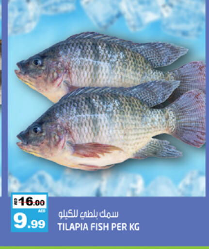 available at هاشم هايبرماركت in الإمارات العربية المتحدة , الامارات - الشارقة / عجمان