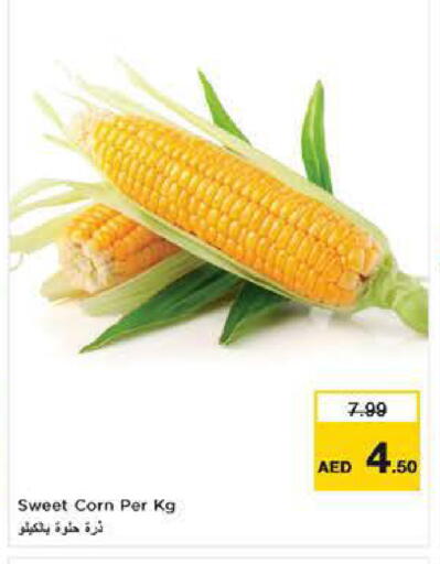 available at نستو هايبرماركت in الإمارات العربية المتحدة , الامارات - ٱلْفُجَيْرَة‎