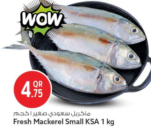 available at سفاري هايبر ماركت in قطر - الريان