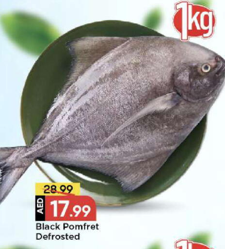 available at مارك & سيف in الإمارات العربية المتحدة , الامارات - دبي