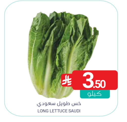Lettuce from Saudi Arabia available at اسواق المنتزه in مملكة العربية السعودية, السعودية, سعودية - سيهات