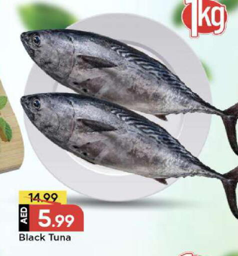 available at مارك & سيف in الإمارات العربية المتحدة , الامارات - الشارقة / عجمان