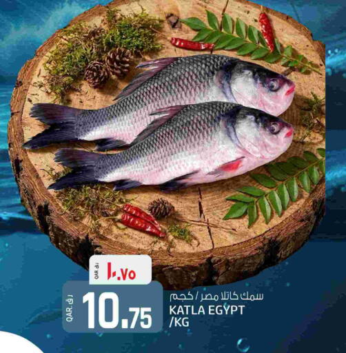 available at كنز ميني مارت in قطر - الريان