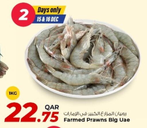 available at روابي هايبرماركت in قطر - الخور