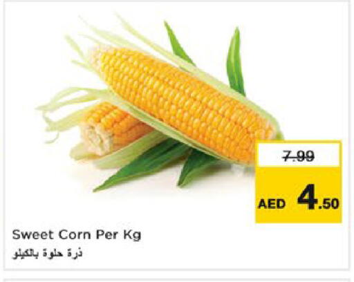 available at Nesto Hypermarket in UAE - Dubai