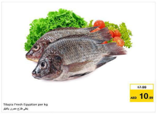 available at نستو هايبرماركت in الإمارات العربية المتحدة , الامارات - ٱلْفُجَيْرَة‎