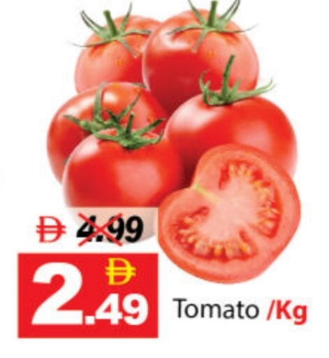 Tomato available at ديزرت فريش ماركت in الإمارات العربية المتحدة , الامارات - أبو ظبي