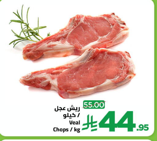 available at وهج مارت in مملكة العربية السعودية, السعودية, سعودية - جدة