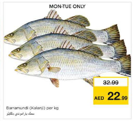 available at نستو هايبرماركت in الإمارات العربية المتحدة , الامارات - الشارقة / عجمان