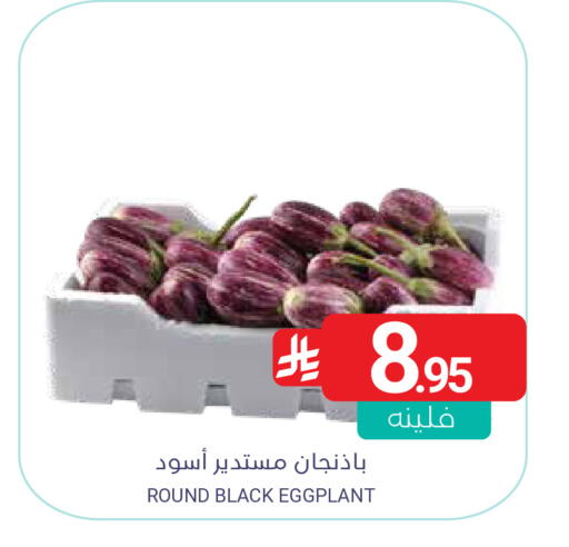 Eggplant available at اسواق المنتزه in مملكة العربية السعودية, السعودية, سعودية - سيهات
