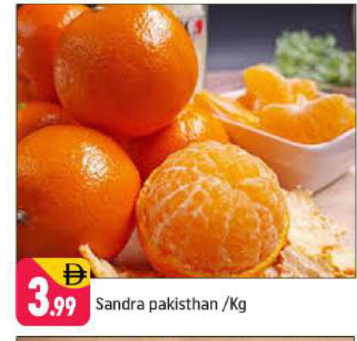 available at شكلان ماركت in الإمارات العربية المتحدة , الامارات - دبي