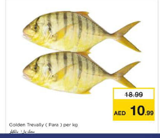 available at نستو هايبرماركت in الإمارات العربية المتحدة , الامارات - الشارقة / عجمان