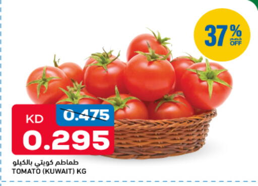 Tomato from Kuwait available at غلف مارت in الكويت - مدينة الكويت