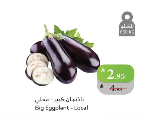 Eggplant available at Al Raya in KSA, Saudi Arabia, Saudi - Najran