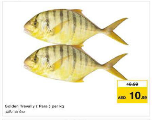 available at نستو هايبرماركت in الإمارات العربية المتحدة , الامارات - ٱلْفُجَيْرَة‎