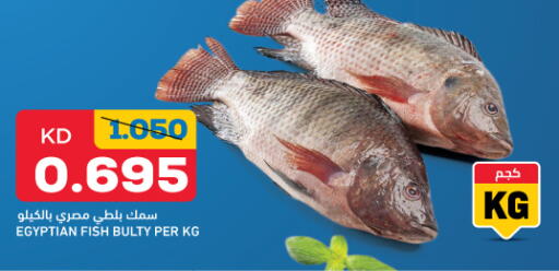 available at أونكوست in الكويت - محافظة الأحمدي