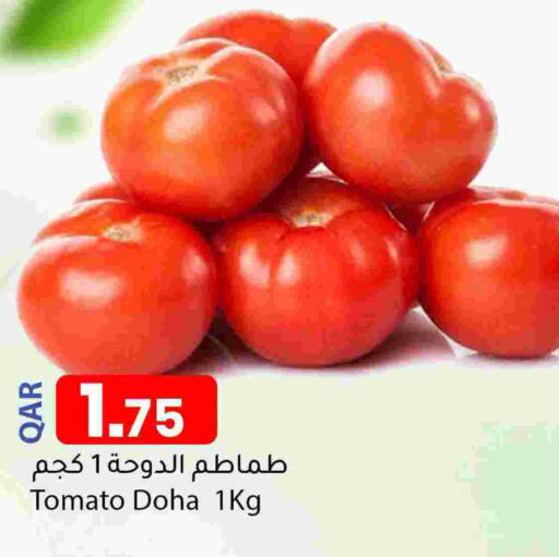 Tomato from Qatar available at دانا ماركت in قطر - الريان