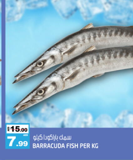 available at هاشم هايبرماركت in الإمارات العربية المتحدة , الامارات - الشارقة / عجمان