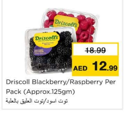 Blackberry Raspberry available at Nesto Hypermarket in UAE - Ras al Khaimah