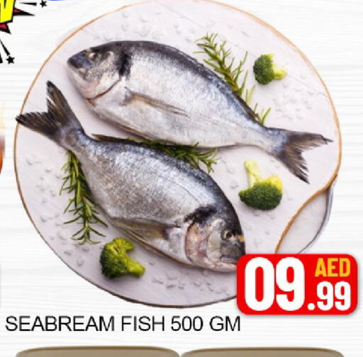 Mango available at مانجو هايبرماركت in الإمارات العربية المتحدة , الامارات - دبي