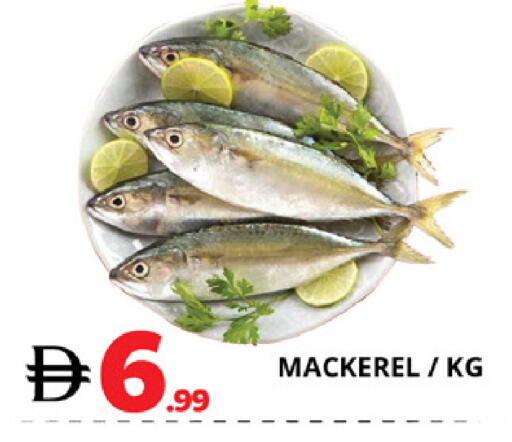 available at EXPRESS AL MADEENA HYPERMARKET LLC in UAE - Abu Dhabi