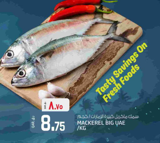 available at كنز ميني مارت in قطر - الريان