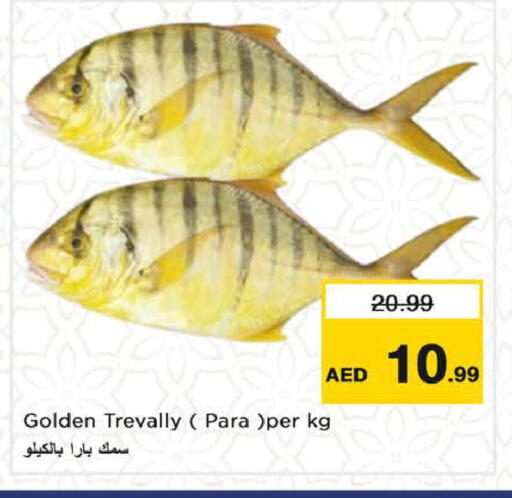 available at نستو هايبرماركت in الإمارات العربية المتحدة , الامارات - الشارقة / عجمان