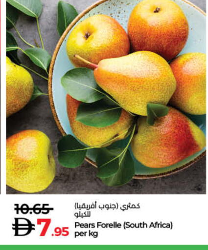 from South Africa available at لولو هايبرماركت in الإمارات العربية المتحدة , الامارات - رَأْس ٱلْخَيْمَة