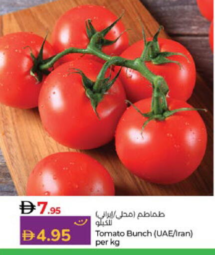Tomato from Iran available at لولو هايبرماركت in الإمارات العربية المتحدة , الامارات - أبو ظبي