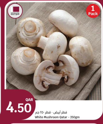 Mushroom from Qatar available at سيتي هايبرماركت in قطر - الريان
