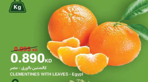 from Egypt available at هايبرماكس in الكويت - محافظة الجهراء